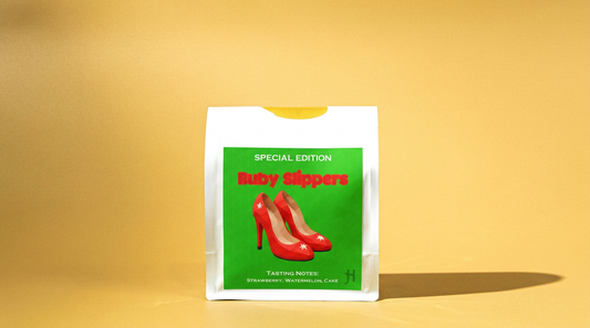 Special Edition - Ruby Slippers